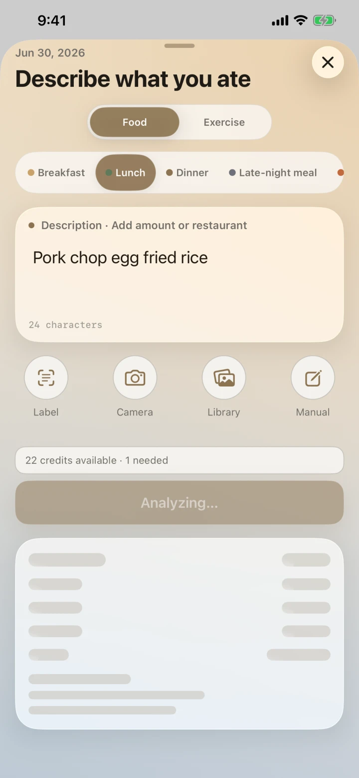 Meal entry screen analyzing pork chop egg fried rice, with a loading preview for the result